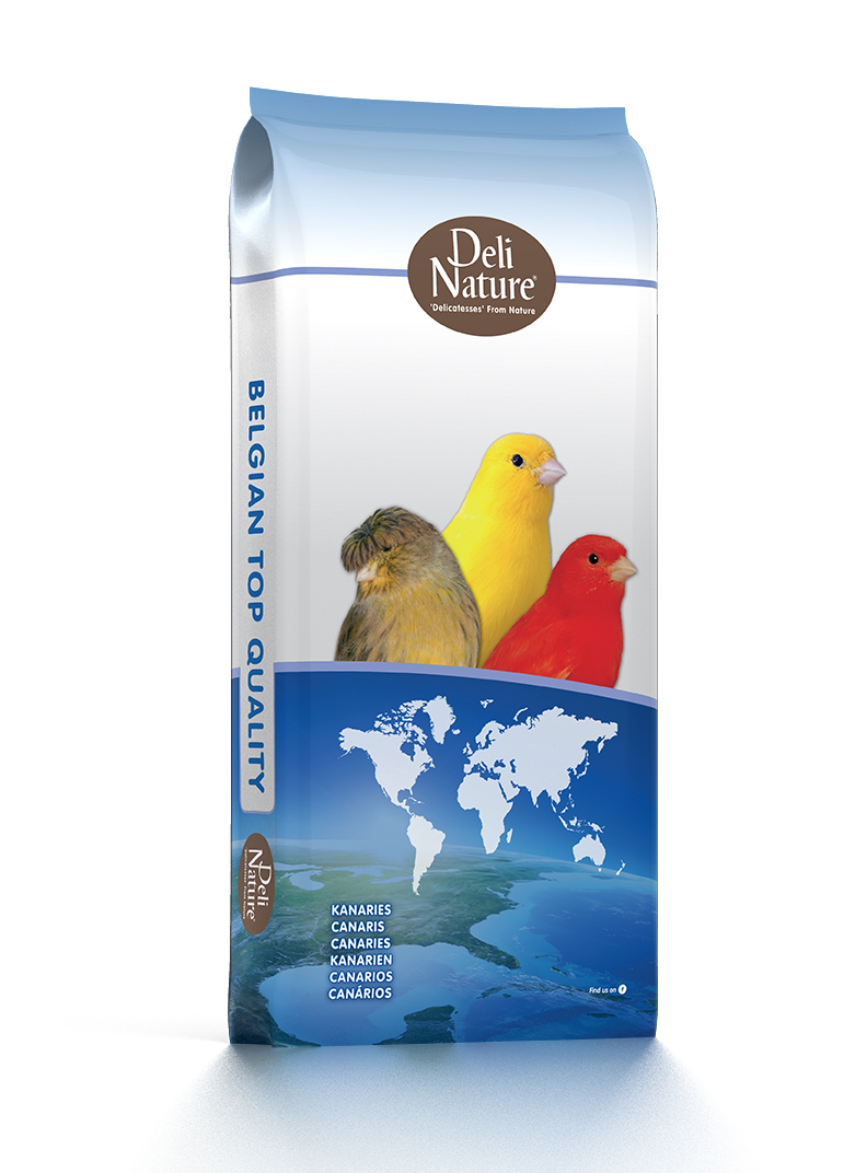 Canary supplies sales